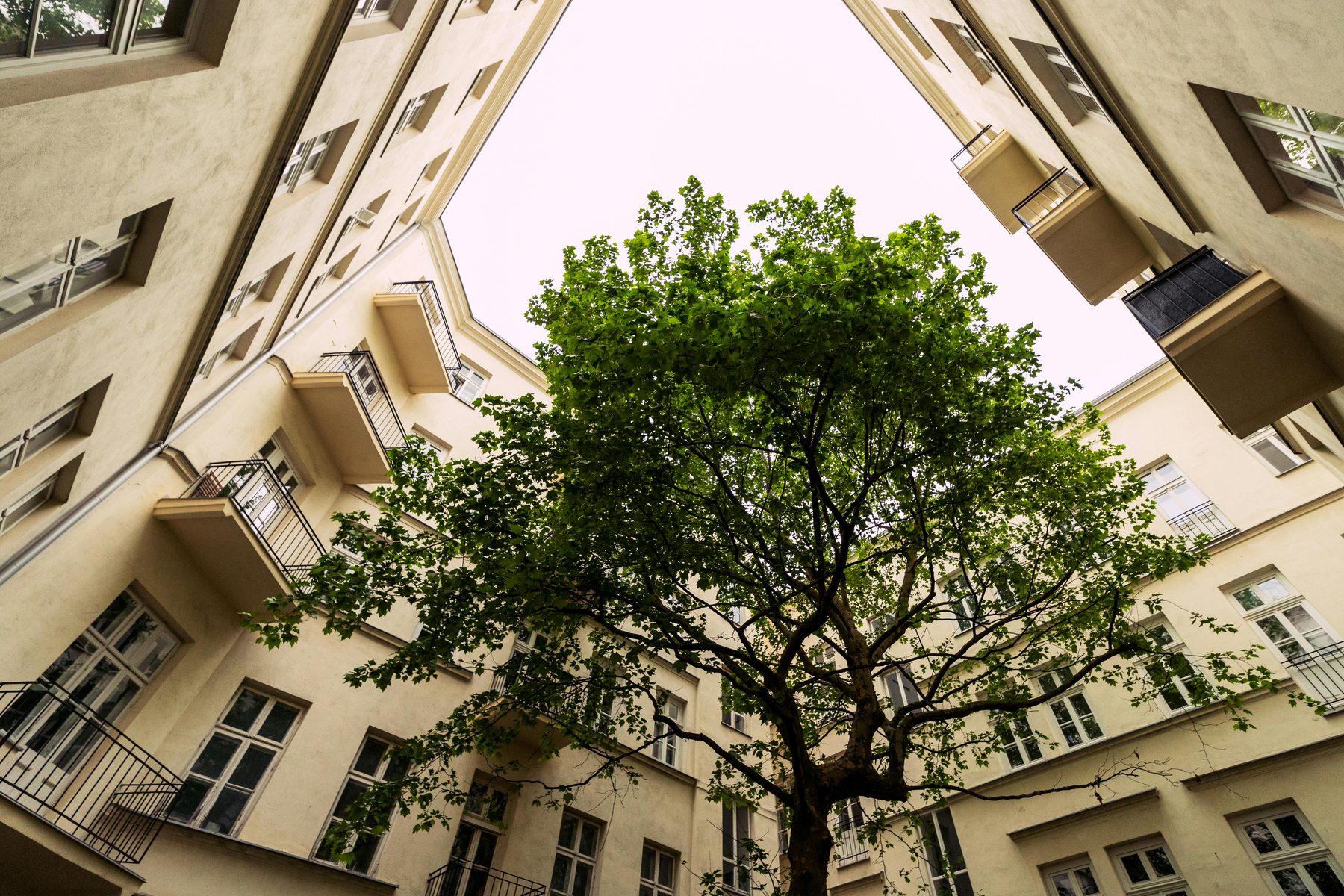 Réhabilitation de logements collectifs
